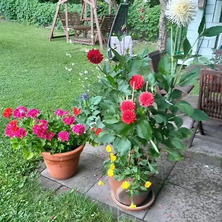 Aittamajotus Casinonsaari Apartment Savonlinna