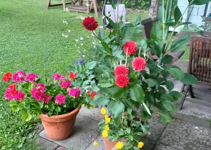 Aittamajotus Casinonsaari Apartamento Savonlinna