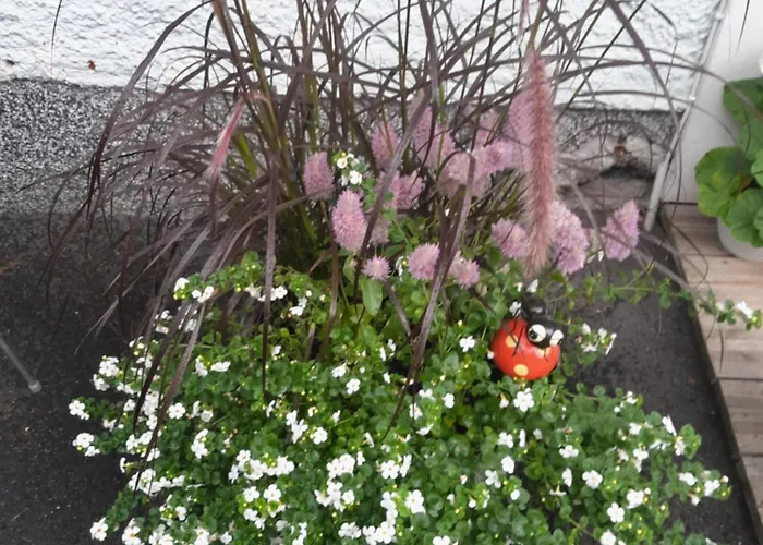 Apartamento Aittamajotus Casinonsaari